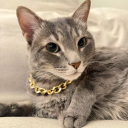 .lilshot avatar
