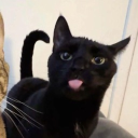 avatar 𝓜𝓲𝓼𝓼 𝓤𝓷𝓴𝓷𝓸𝔀𝓷