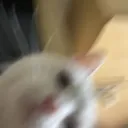 sqpib