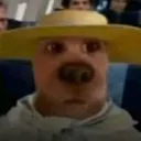 _.voy