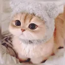 sk4561