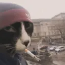 pebsandcit