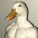 nutwill