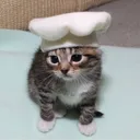 chefarlington