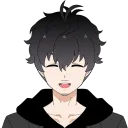 _gatomo