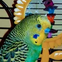 02i2