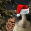 rraigos