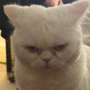 avatar This Chord is OFF