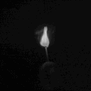 .1__