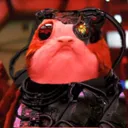 admiralporglle8303