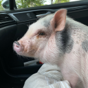 claycantmold#7499's avatar