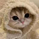 ashley_9800