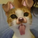 aefr