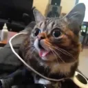 p0w3rfull avatar