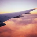 pilotgoophy