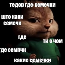 КОТЭ ПОД НАРКОТЭ ( Сулугуни )