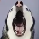 nintendonono