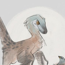 svetikthebirb member profile picture