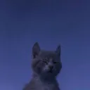 ssjrenrgd