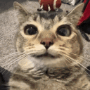 nejlepsi dev
