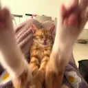 bababooey06_