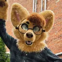 pokeyfenneroo
