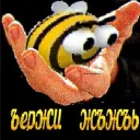 _lamie