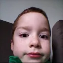 cowlisman