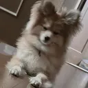 micha0__