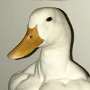 clinng