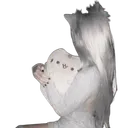 rskg0d.