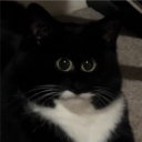 _fayts_#3466's avatar