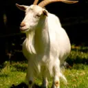 norwashh