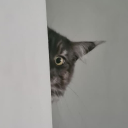 avatar Xori