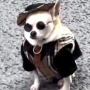 avatar TrapStillBunkin