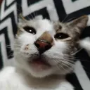el_mismisimo