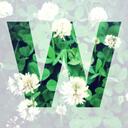 wvsv
