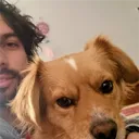 sebaenvivo