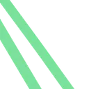 zygis1403