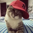 nikkef