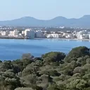 republicadellevante8703