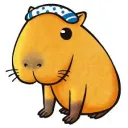 baaraa_