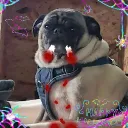 xenthetic