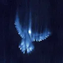 xxro