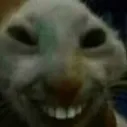 jigsawuwu
