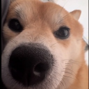 avatar 💥小宥💥