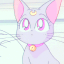 avatar Sarah ♡‧₊˚