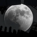 preciousmoon