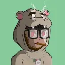ahighhippo