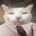 under_kat